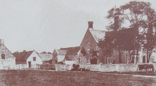 Bailey's Court Farm